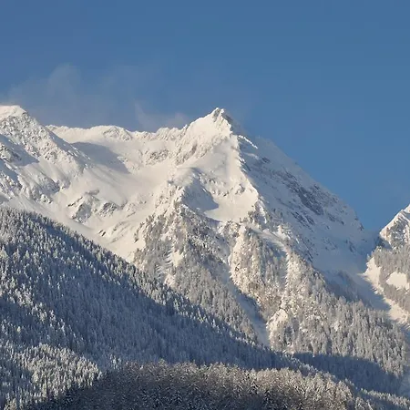Maison d'hôtes Gaestehaus Holaus Mayrhofen