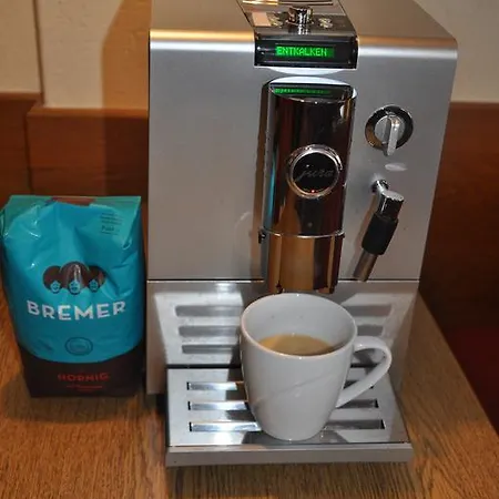 Gaestehaus Holaus Mayrhofen