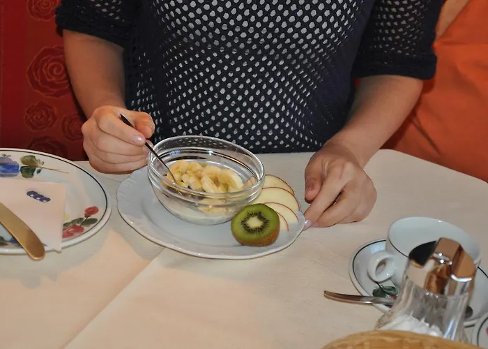 Gaestehaus Holaus Πανσιόν Mayrhofen