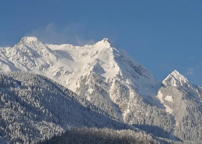 Casa de hóspedes Gaestehaus Holaus Mayrhofen
